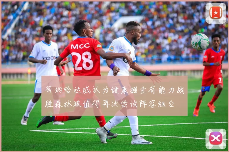 蒂姆哈达威认为健康掘金有能力战胜森林狼值得再次尝试阵容组合