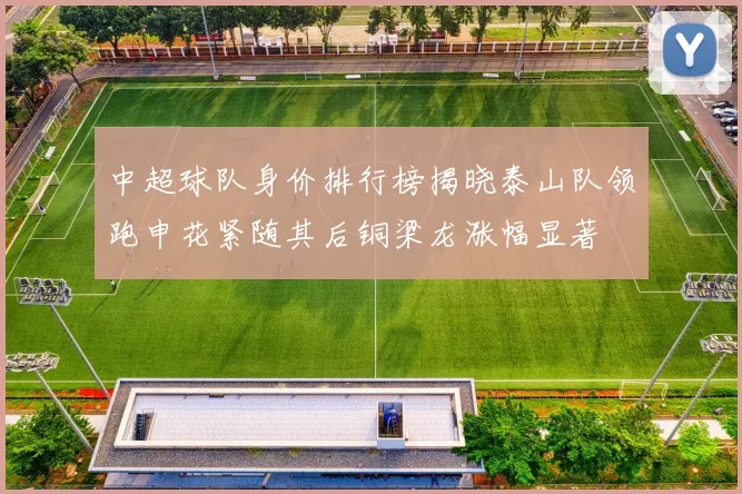 中超球队身价排行榜揭晓泰山队领跑申花紧随其后铜梁龙涨幅显著